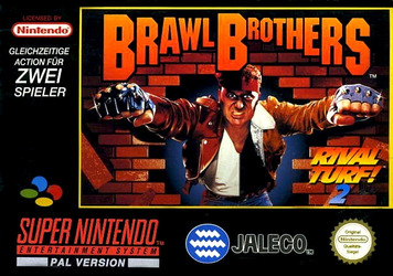 Brawl Brothers : Rival Turf! 2